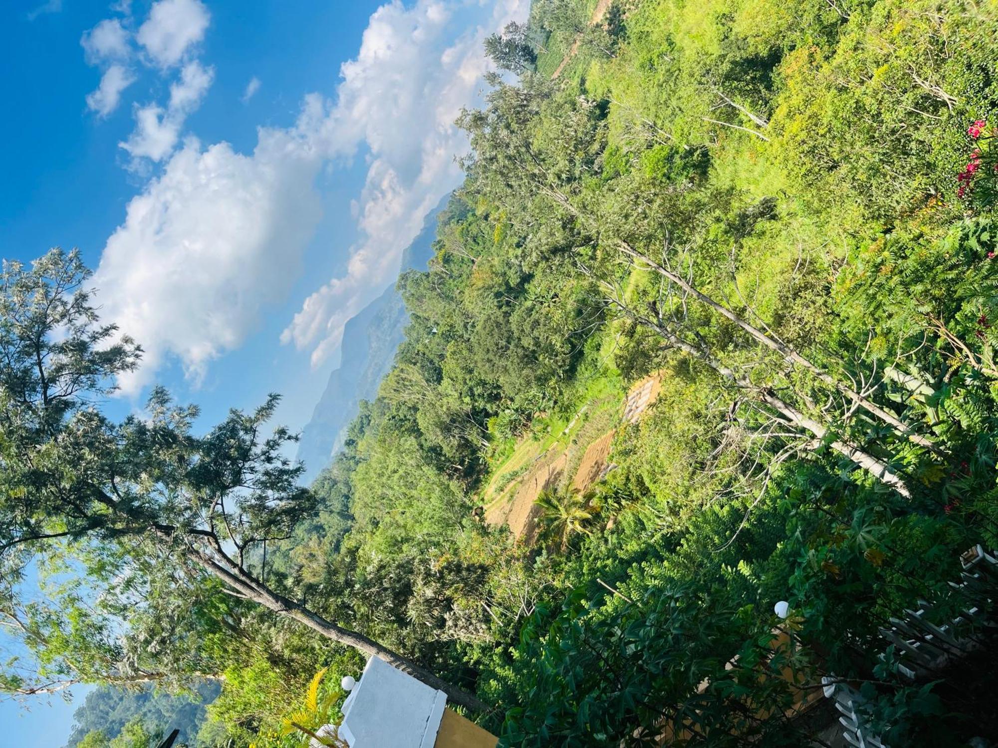 Viyanga Homestay Ella Exteriör bild
