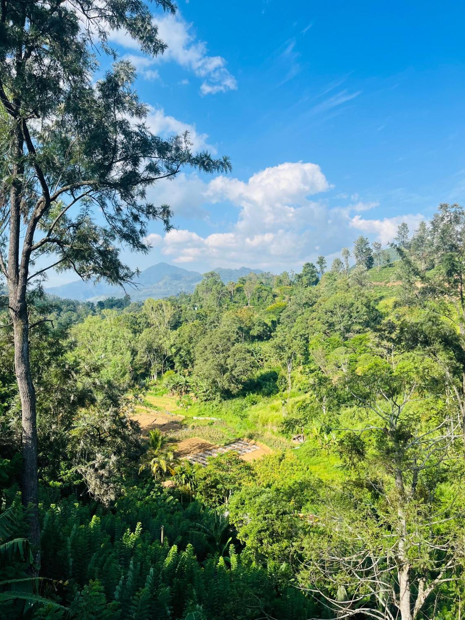 Viyanga Homestay Ella Exteriör bild
